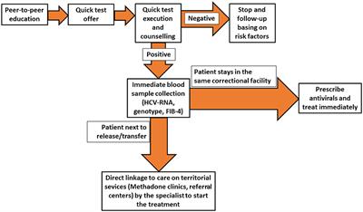 Quick diagnosis, staging, and treatment of HCV infection among people living in prison: Opinion expert panel